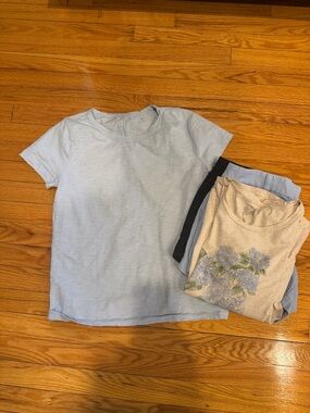 JCrew 4 for 1 Shorts & Tee